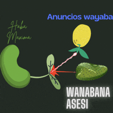 a drawing of a plant with the words wanabana asesi