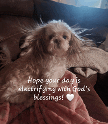 a small dog laying on a couch with the words " hope your day is electrifying with god 's blessings " above it