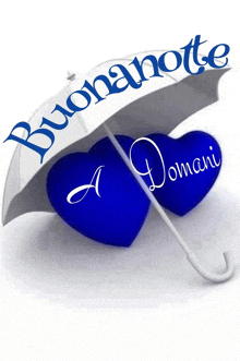 two blue hearts under an umbrella with the words buonanotte a domani