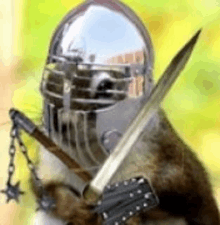 a squirrel wearing a helmet and holding a sword and mace .