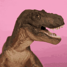 a close up of a dinosaur with its mouth open