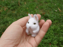 a person is holding a small white rabbit with green eyes