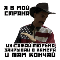 a man wearing a cowboy hat is holding an american flag and says " a b mou cmpana "