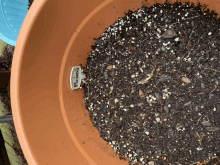 a potted plant with a label that says flowers