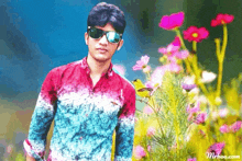 a man wearing sunglasses stands in front of a field of pink flowers