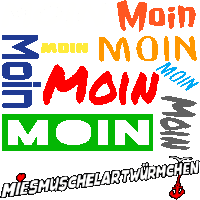 the word moin is surrounded by other words in different colors