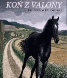 a painting of a black horse on the cover of kon z valony