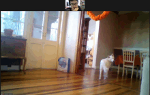 a man and a dog are on a video call and the man is named vicente