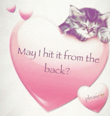 a pink heart with a kitten on it and the words may i hit it from the back