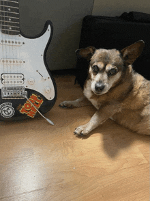 a dog laying on the floor next to a guitar with a sticker that says ' hot '