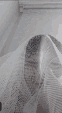 a woman is covering her face with a white net .