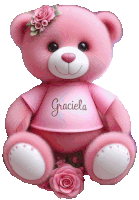 a pink teddy bear with the name graciela written on its shirt