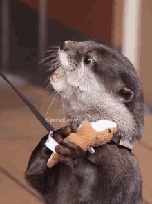 a close up of an otter holding a stuffed animal with the hashtag @parus_mhr on the bottom