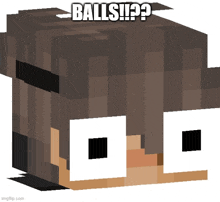 a minecraft character 's head with the words balls ! ? written on it