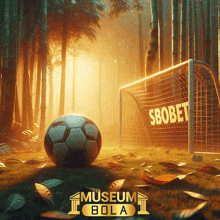 a soccer ball is sitting in front of a soccer goal that says sbobet