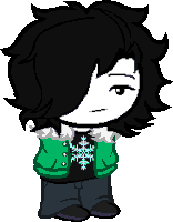 a pixel art of a person with black hair and a green jacket .