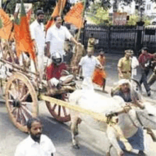 a group of people are riding a carriage pulled by a cow .