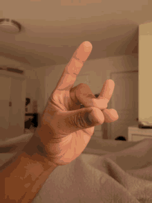 a person 's hand is making a devil horns sign