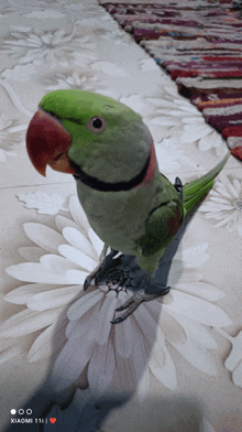 a green parrot is sitting on a table with a xiaomi 11i in the background