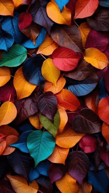 a bunch of colorful leaves are laying on a table