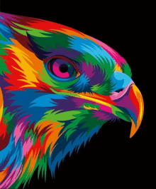 a painting of a colorful bird with a black background