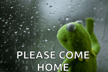 a kermit frog is looking out a window with the words please come home below him