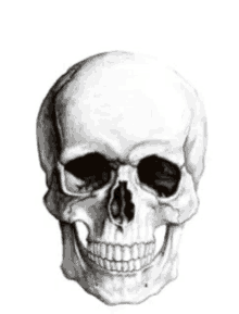 a black and white drawing of a skull with a smile on it