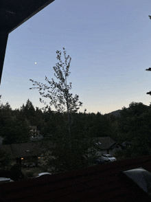 a view of a residential area with trees and houses at sunset