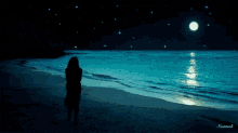 a silhouette of a woman standing on a beach at night with the name nannah on the bottom