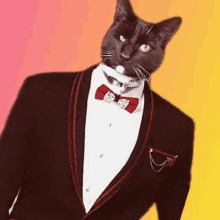 a black cat is wearing a tuxedo with a bow tie