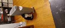 a black and white cat laying on a wooden floor next to a heater