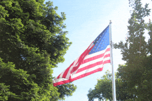 an american flag is flying in the wind in front of some trees