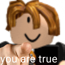 a hand pointing at a roblox character with the words you are true