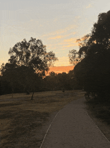 a path in a park at sunset with trees on both sides