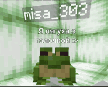 a picture of a frog in a room with the name misa 303