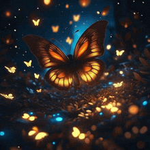 a butterfly is surrounded by other butterflies in a dark forest