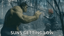 the hulk and black widow are fighting in the woods and the hulk is green .