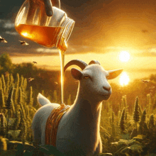 a goat is standing in a field with honey pouring on it