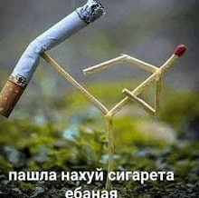 a cigarette is being held up by a match stick .