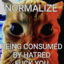 a close up of a cat 's face with a caption that says normalize being consumed by hatred flick you .