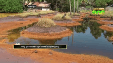 a tv screen shows a swamp with the words media on the bottom