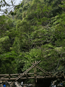 a wooden bridge over a river in a lush green forest