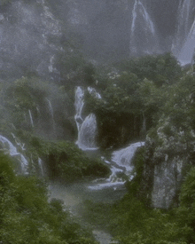 a waterfall in the middle of a forest with trees and rocks