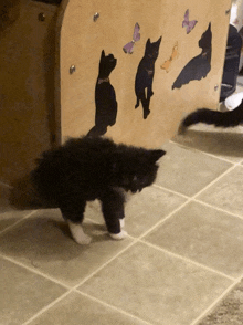 a black and white cat is walking in front of a wall with cats and butterflies on it