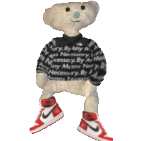 a teddy bear wearing a sweater that says " necessary " on it