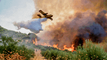 a plane is dropping water on a burning forest