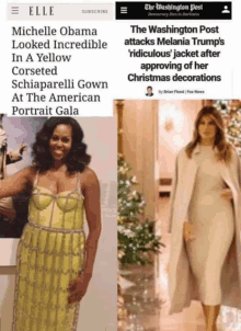 a washington post article about michelle obama 's yellow corseted schiaparelli gown at the american portrait gala