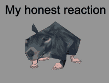 a picture of a rat with the words my honest reaction above it