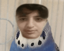 a blurry picture of a man 's face with a blue bird 's feathers on it