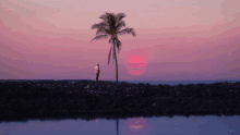 a man stands in front of a palm tree with a pink sunset in the background